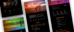 TEXO Website Optimisation, SEO & PPC Case Study | ACW