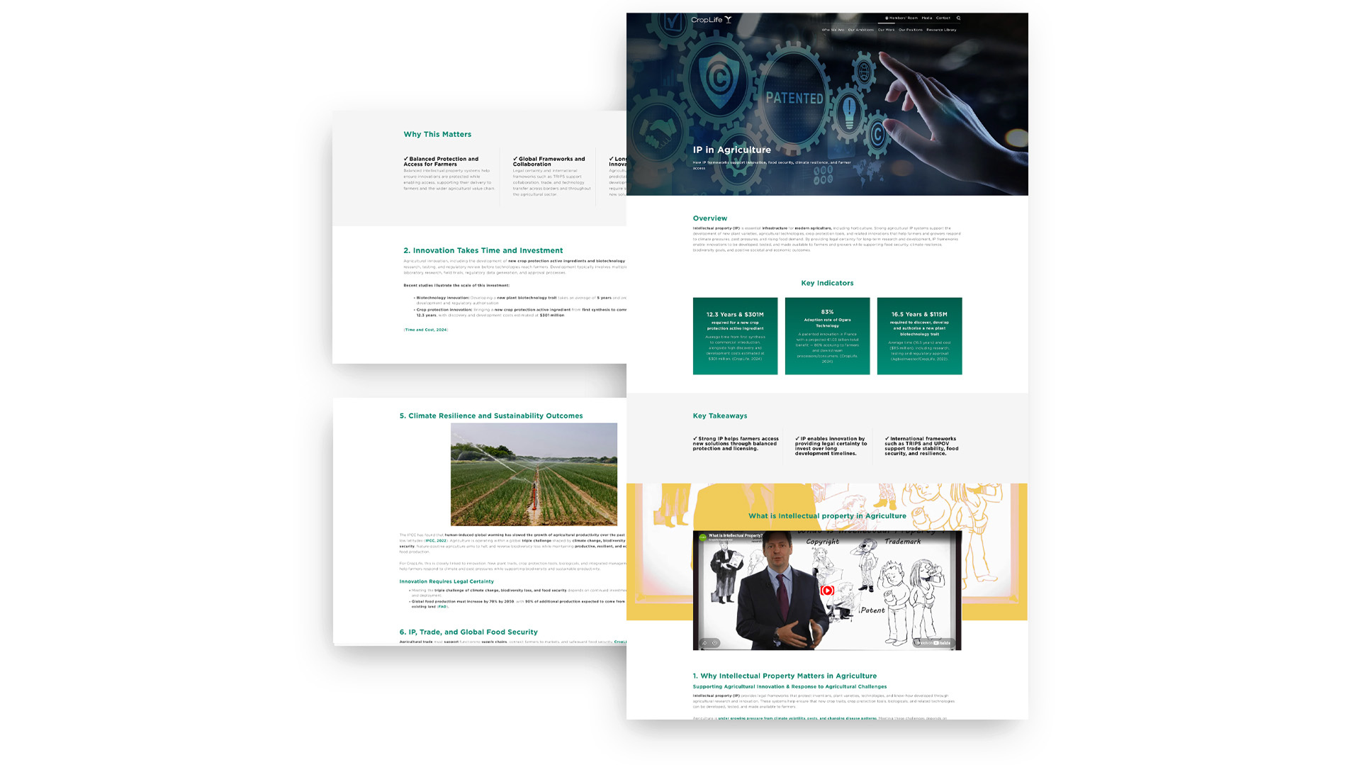CropLife SEO & AI Search Case Study | ACW