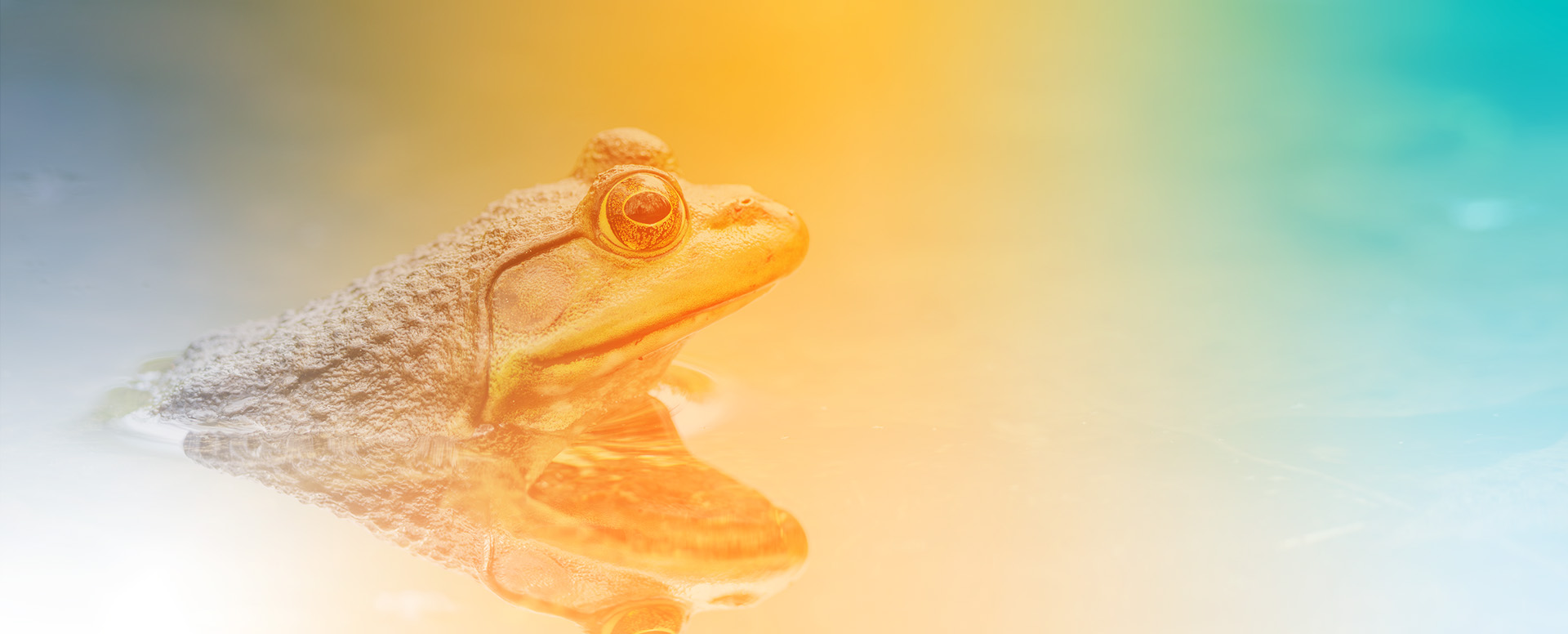 What do leaders get wrong about Communication
